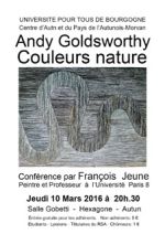 image : Andy Goldsworthy, couleurs nature